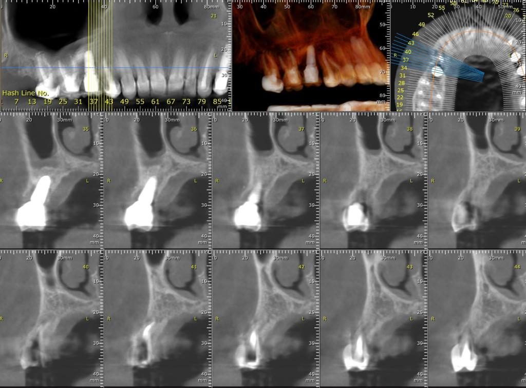 Radiologie